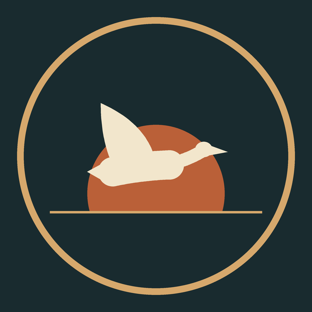 Traveling Goose Photography — a goose crossing a desert sun